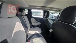 جيب رينيجيد